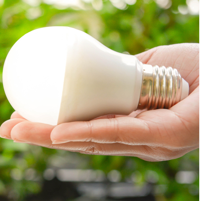 hand holding lightbulb