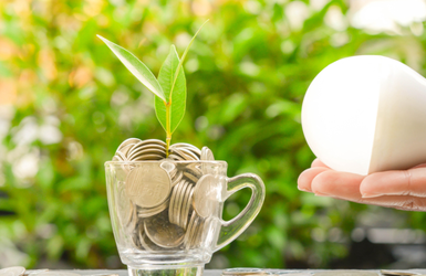 hand holding lightbuld towards cup of money with plant